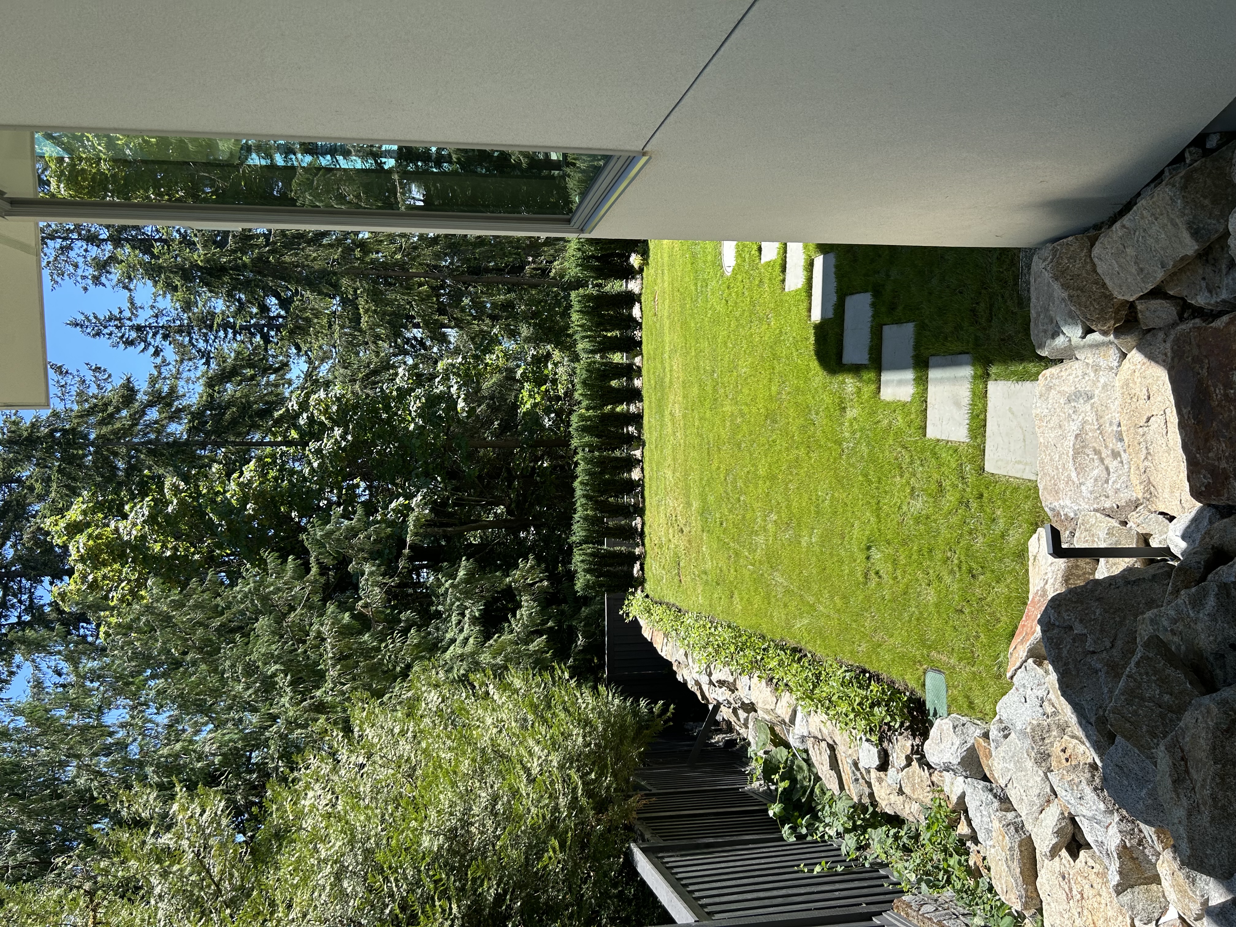Backyard lawn renovation with stepping-stone paver path in Metro Vancouver, BC by Coastal Property Services