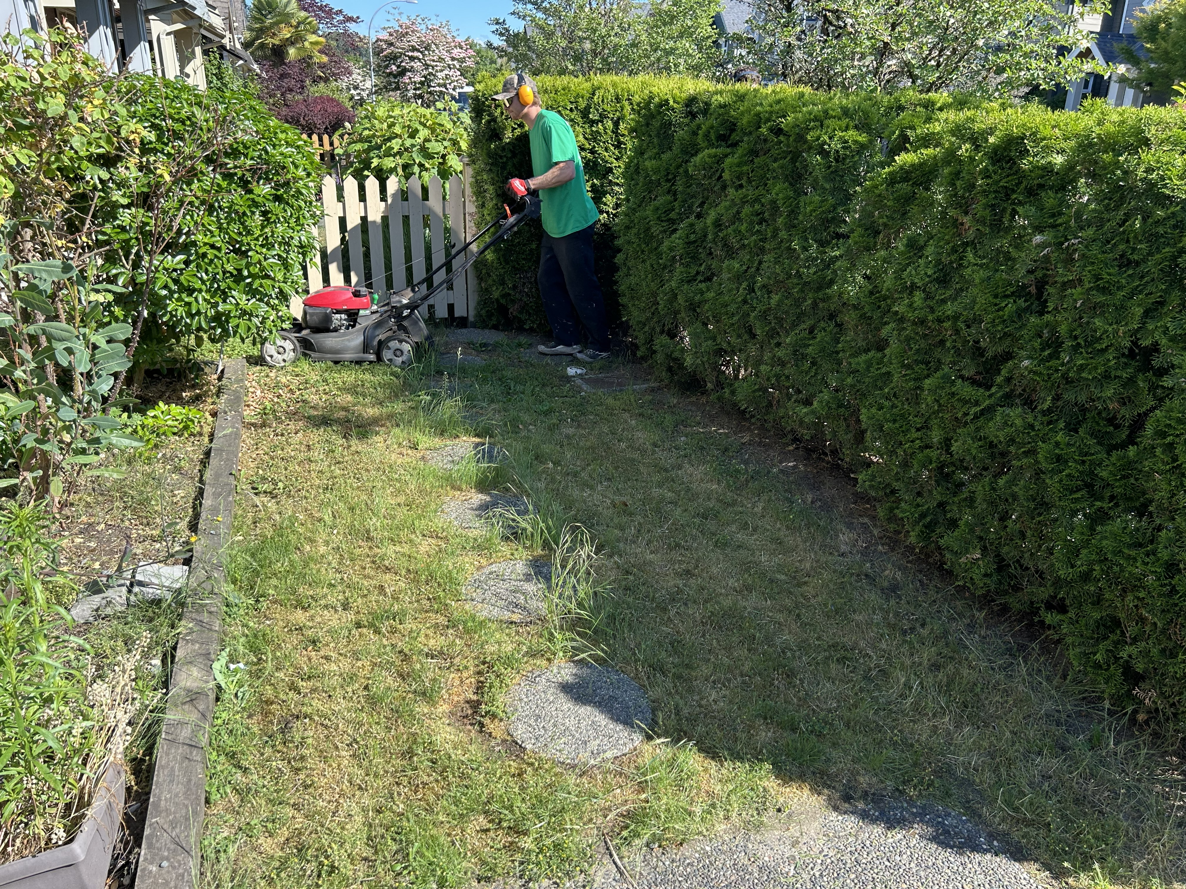 Seasonal cleanup - mowing and hedge trimming in Metro Vancouver, BC by Coastal Property Services